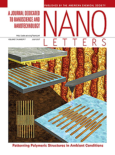 AFM Nanopatterning